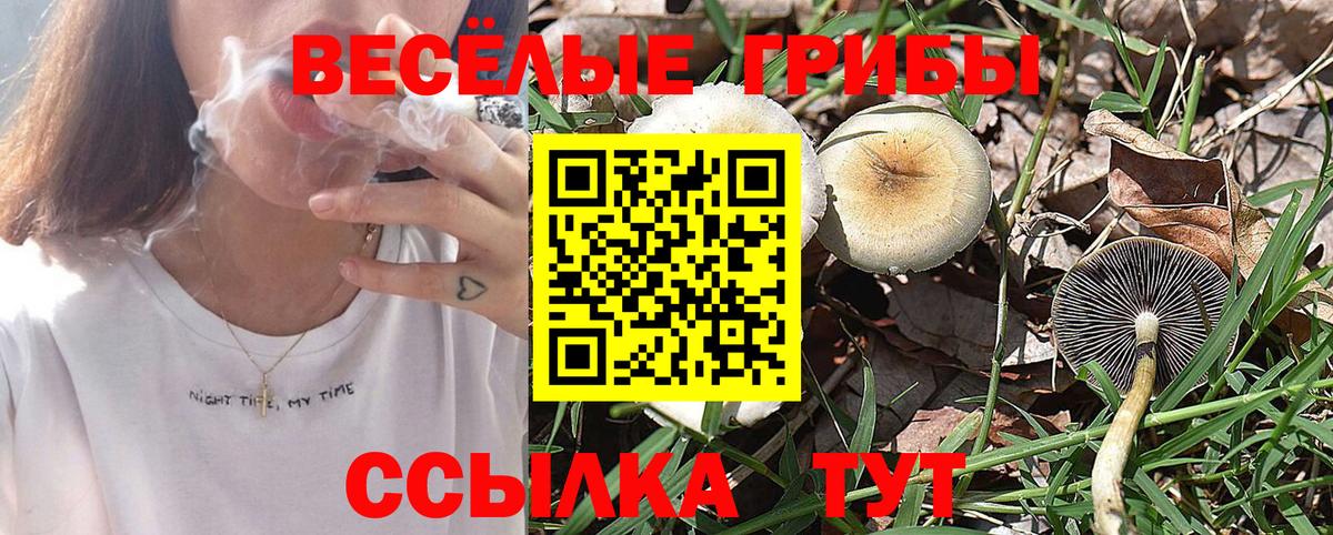 Камышин  Галлюциногенные грибы ЛСД  Вход с VPN 