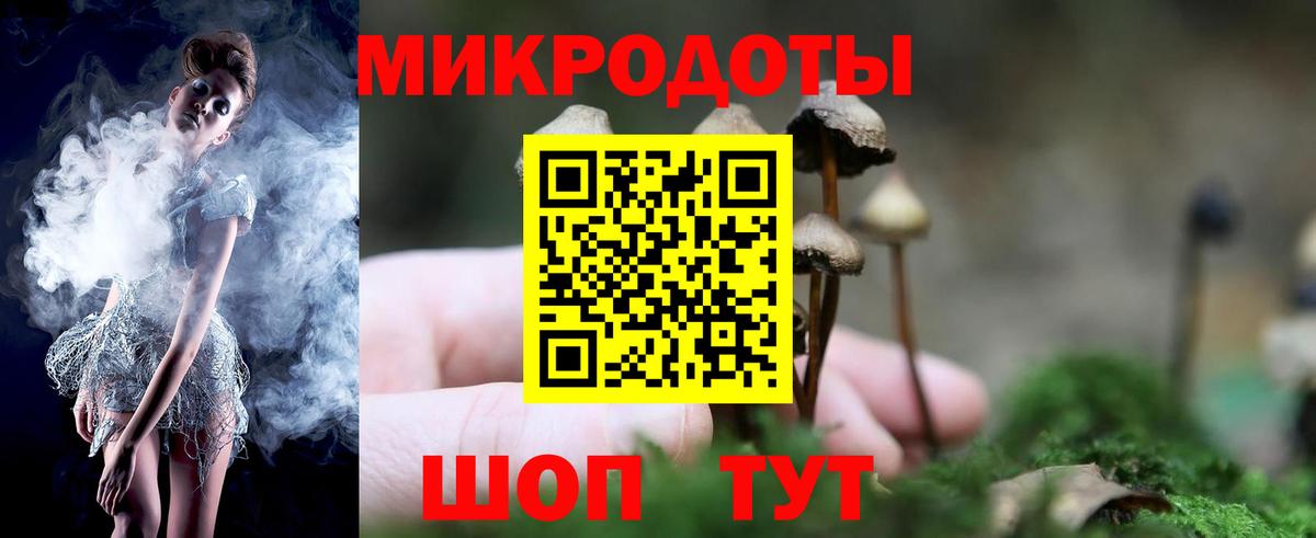 Галлюциногенные грибы мухоморы Камышин